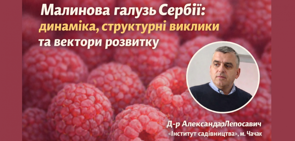 Малинова галузь Сербії: динаміка, структурні виклики та вектори розвитку